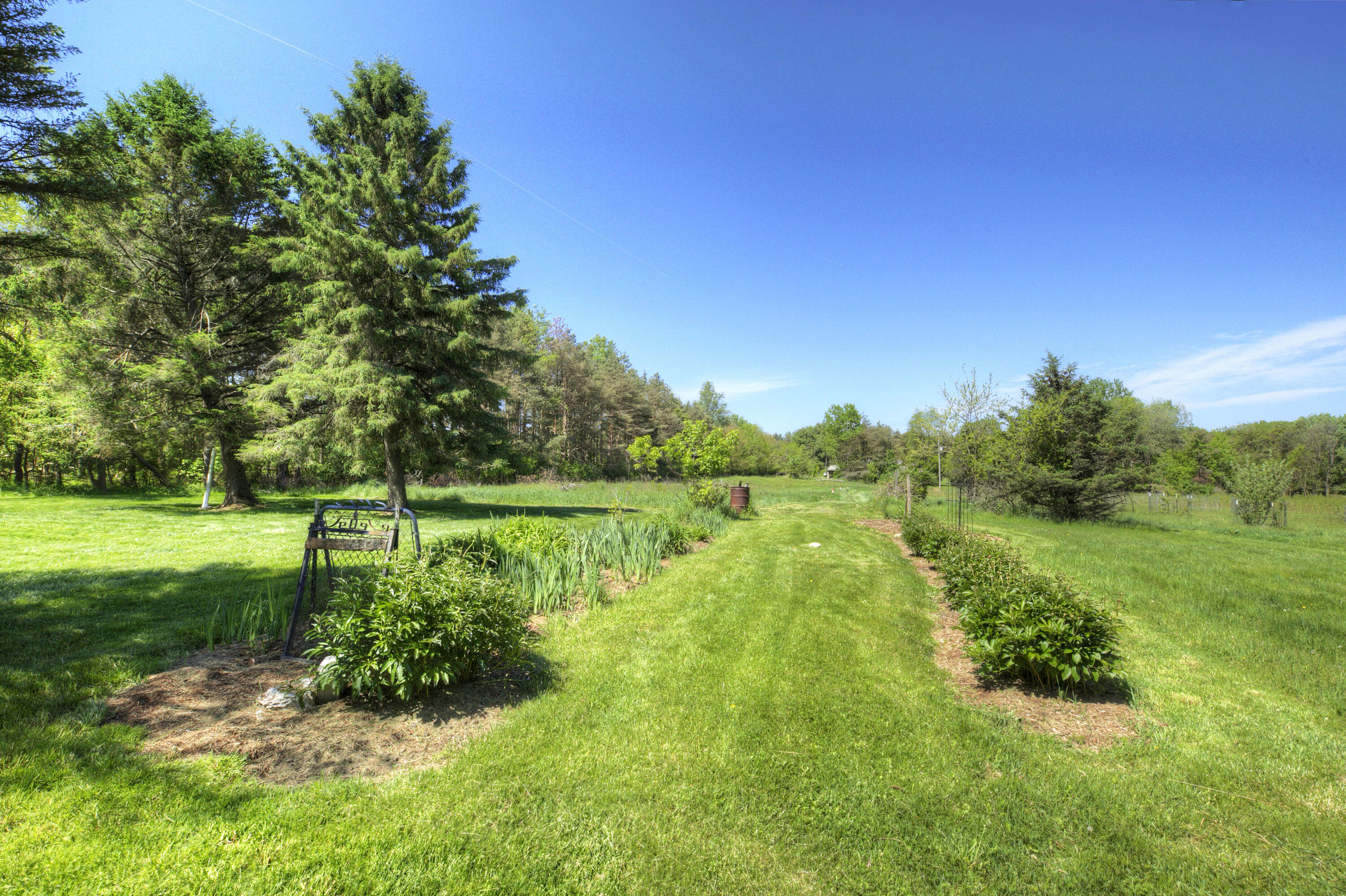15610 Arnold Road Gregory, MI 48137 - Photo 17 of 90 Garden peonies