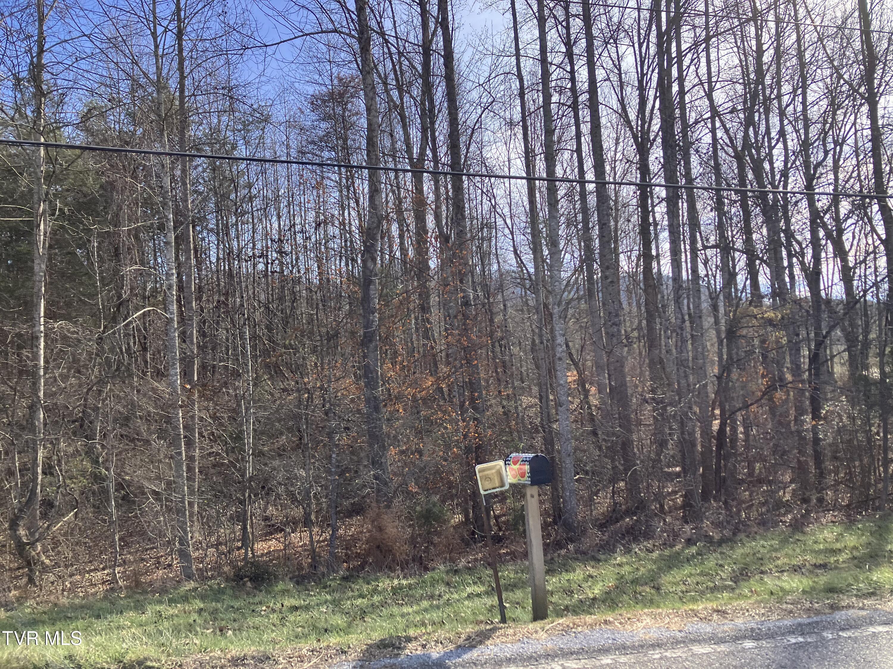 3927 Cherokee Road Jonesborough, TN 37659 - Photo 8 of 11 IMG_3114