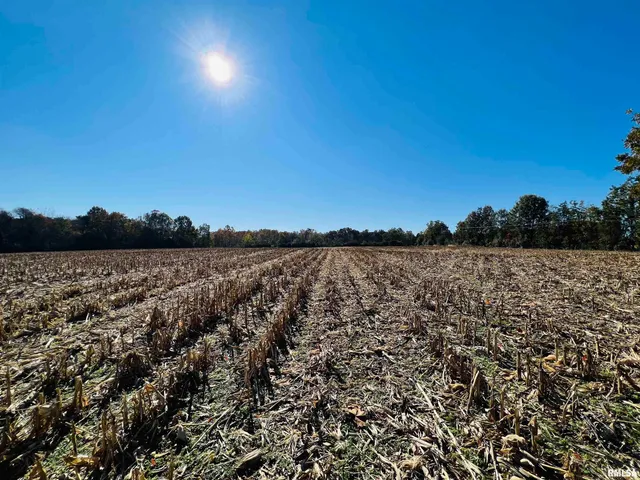 $449,000 | 17064 Old Frankfort Road, Johnston City, IL 62951