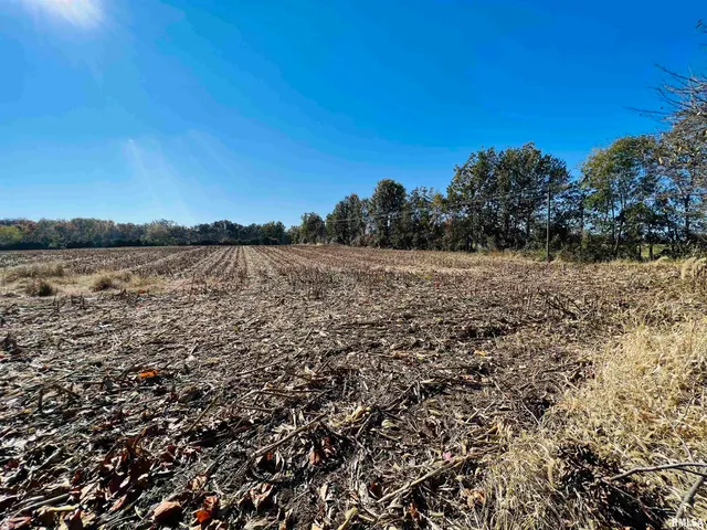 $449,000 | 17064 Old Frankfort Road, Johnston City, IL 62951