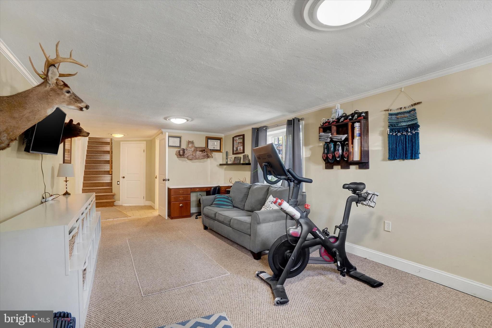 45 Baltimore Street Spring Grove, PA 17362 - Photo 18 of 31 Lower level rec room