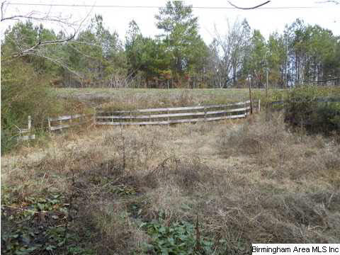 3830 Highway 29 Oneonta Al Oneonta, AL 35121 - Photo 21 of 21