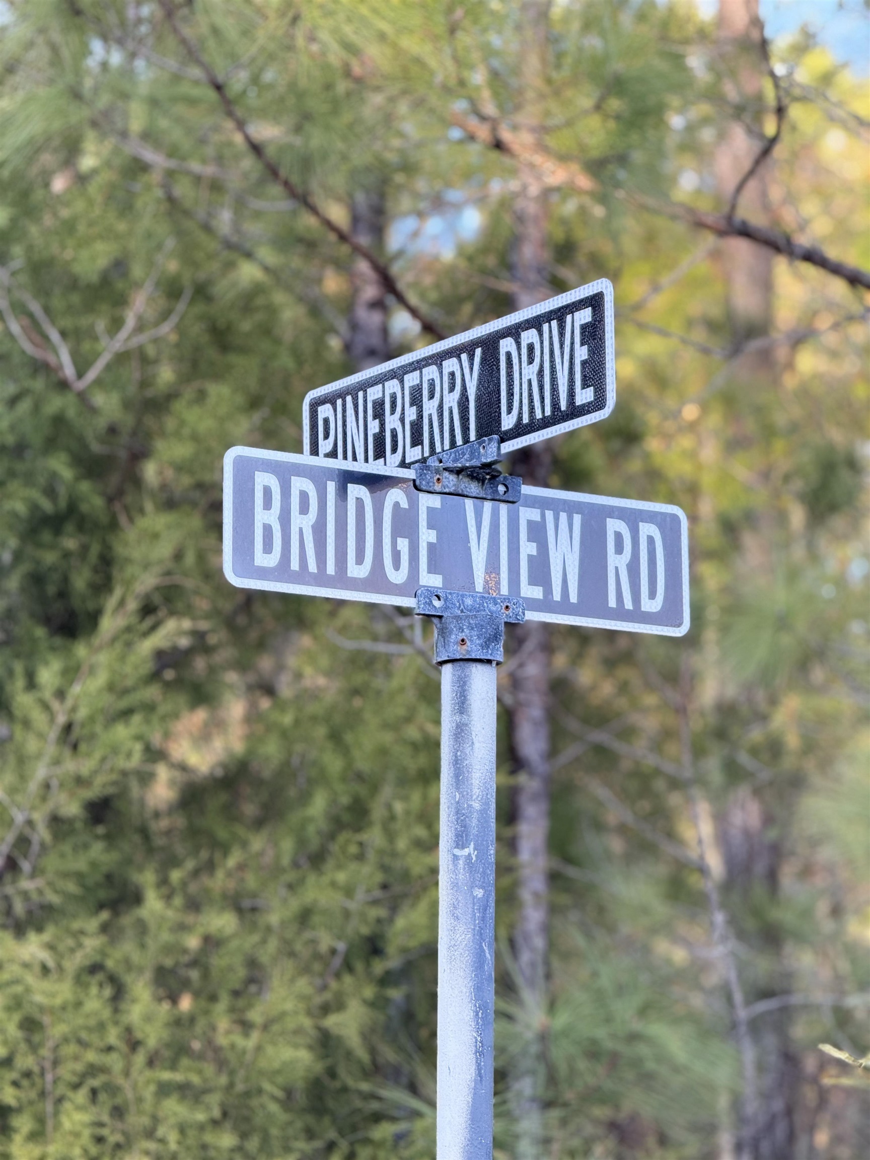 153 Bridge View Road Georgetown, SC 29440 - Photo 12 of 13 Gallery Image 12