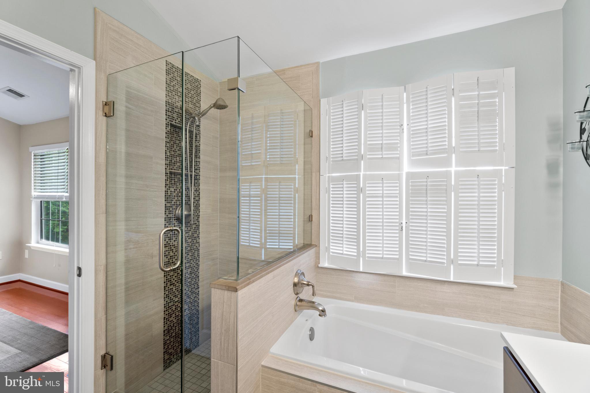 47572 Comer Square Sterling, VA 20165 - Photo 15 of 40 Gorgeous frameless shower w/custom mosaic tile
