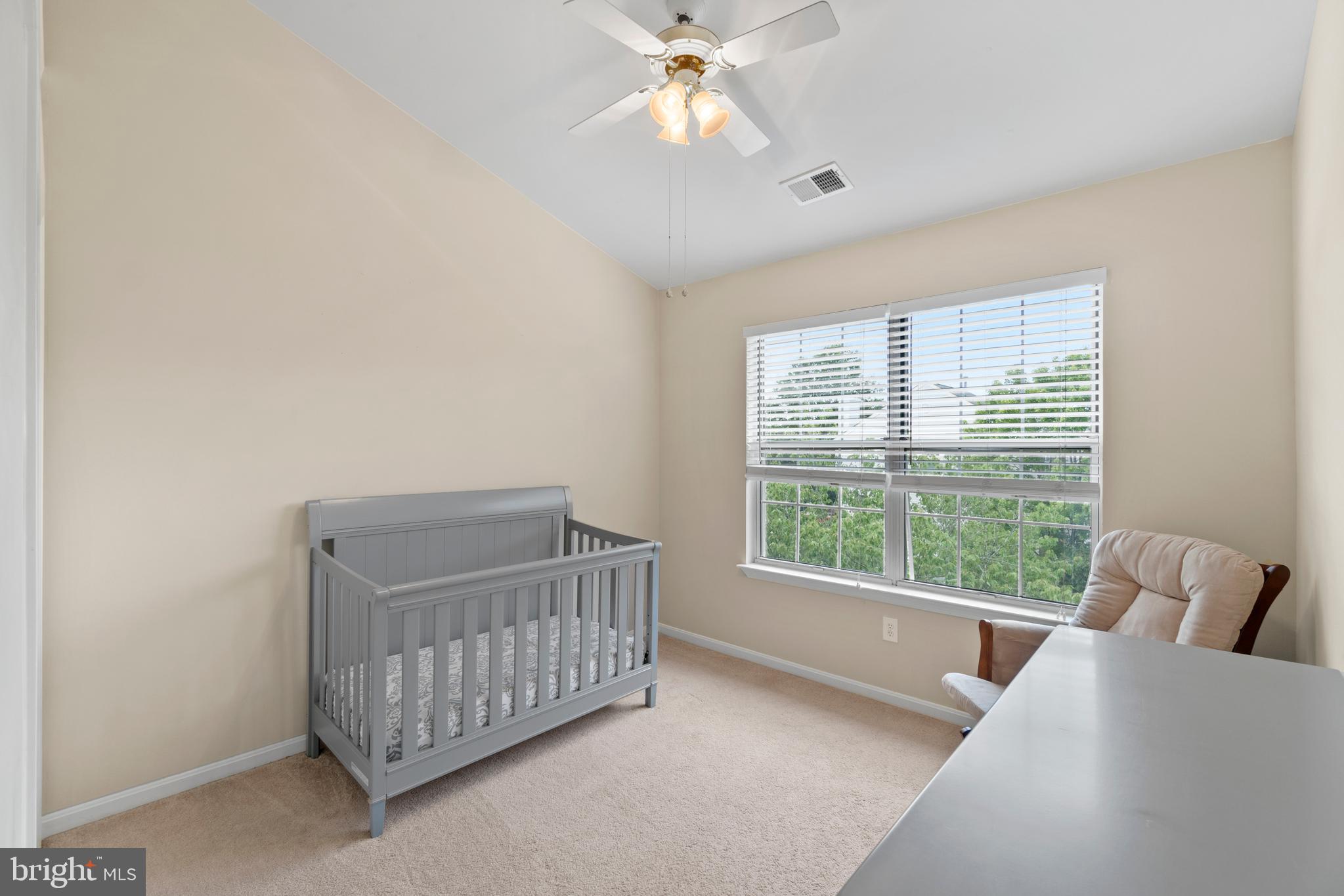47572 Comer Square Sterling, VA 20165 - Photo 19 of 40 Spacious secondary bedrooms w/vaulted ceiling