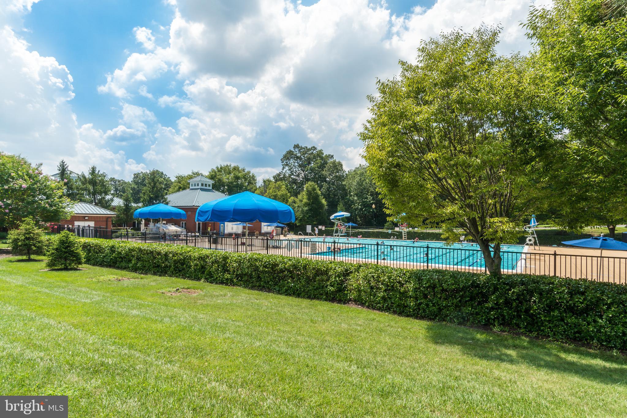 47572 Comer Square Sterling, VA 20165 - Photo 30 of 40 Outdoor pool