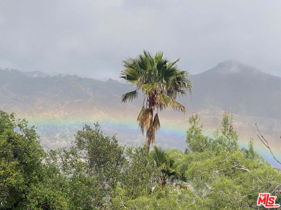 1217 Alpine Trail Topanga, CA 90290 - Photo 3 of 41