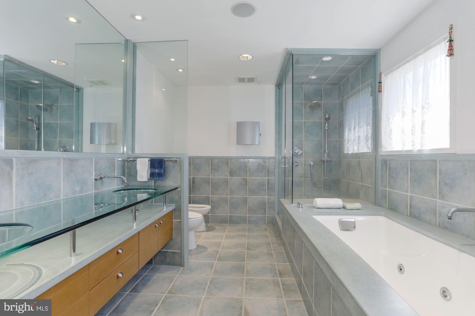 38950 Piggott Bottom Road Hamilton, VA 20158 - Photo 28 of 50 Dreamy Master Bathroom