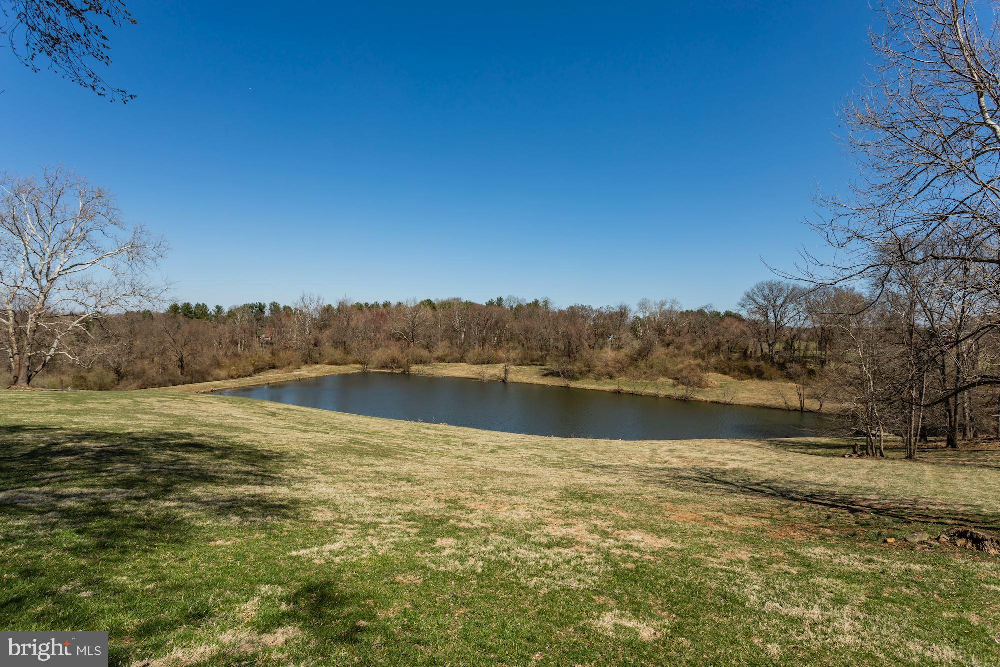 38950 Piggott Bottom Road Hamilton, VA 20158 - Photo 8 of 50 Crystal Clear Stocked Pond