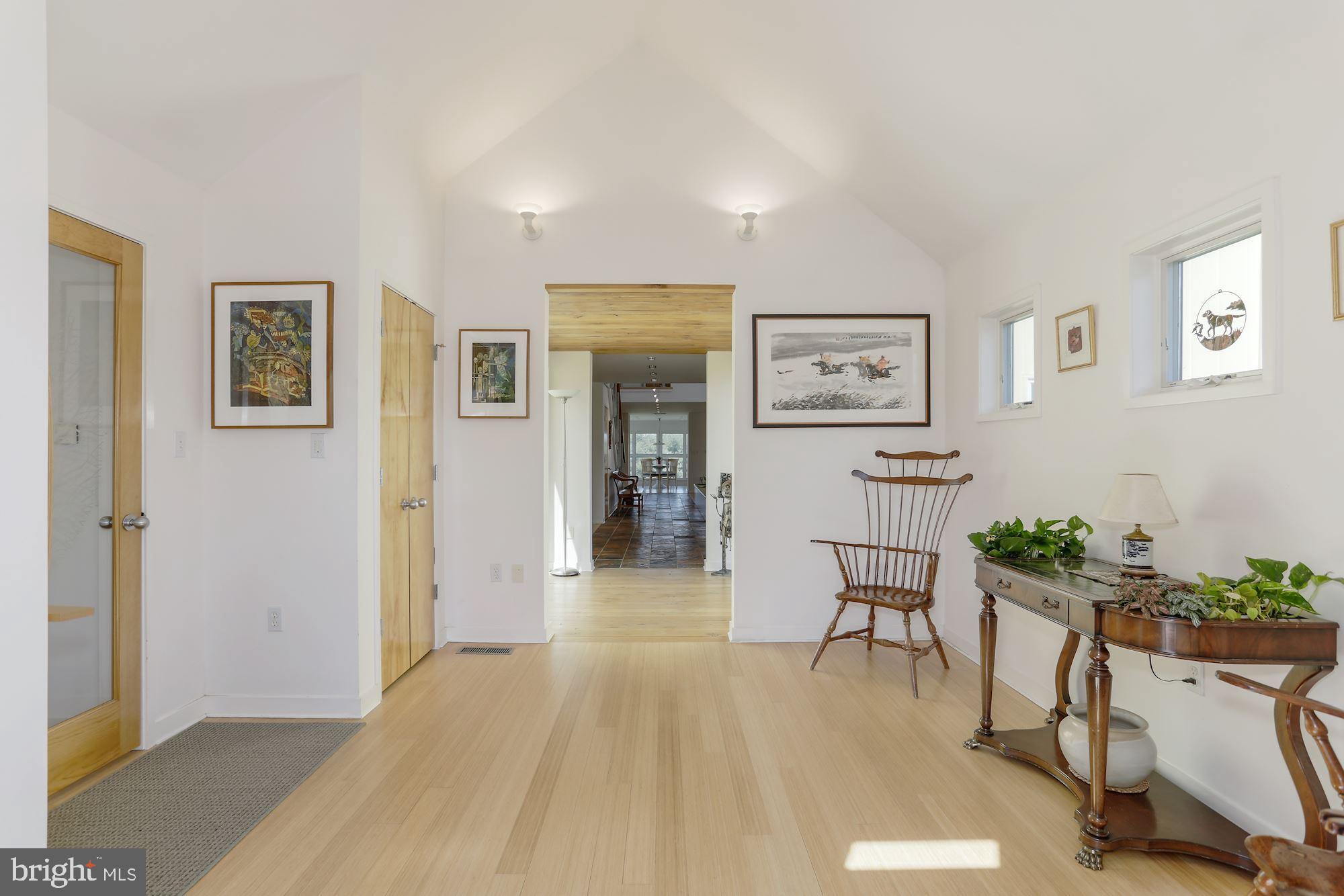 38950 Piggott Bottom Road Hamilton, VA 20158 - Photo 10 of 50 Sleek Bamboo and Slate Floors