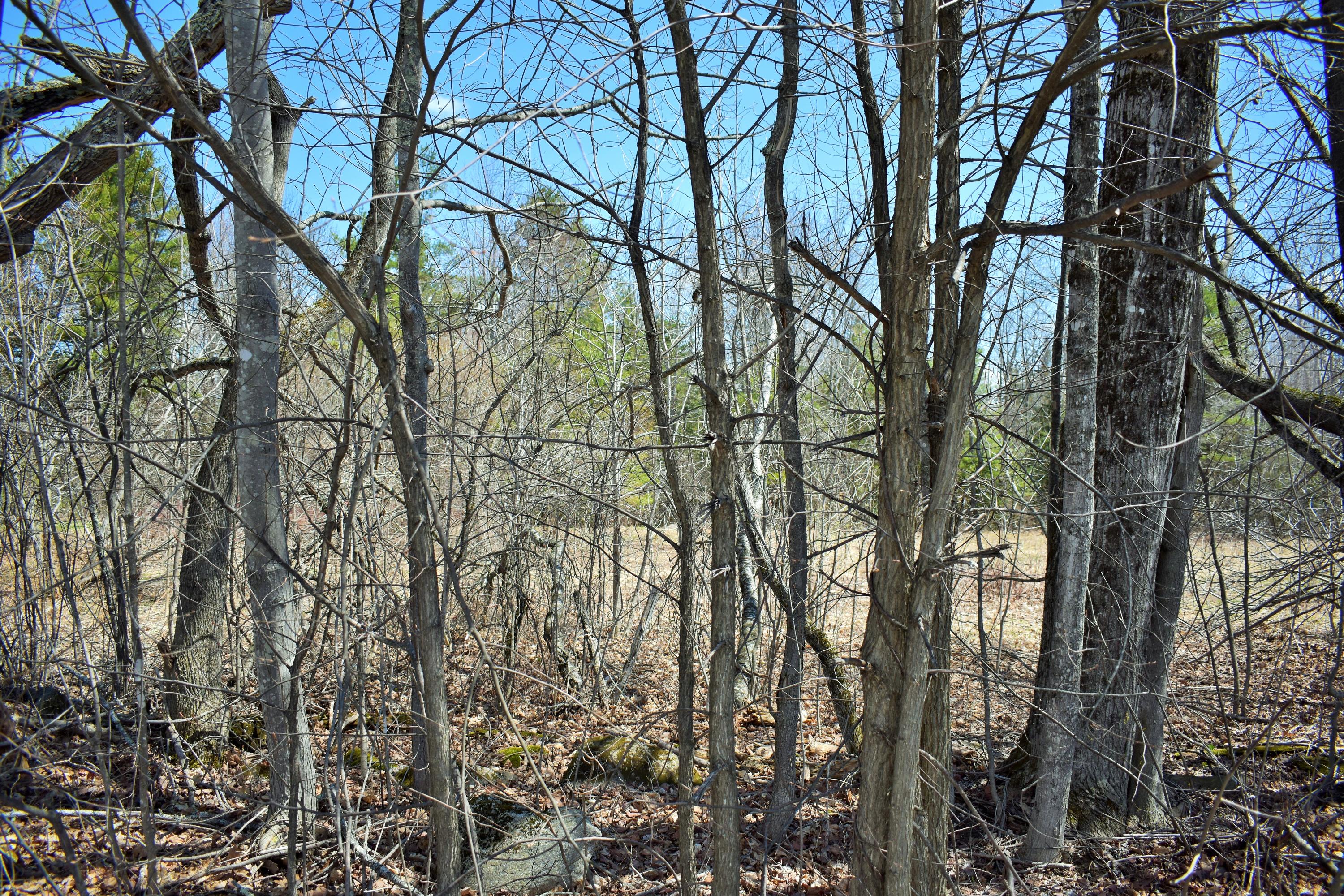 351 Laughton Road Ripley, ME 04930 - Photo 3 of 4 3