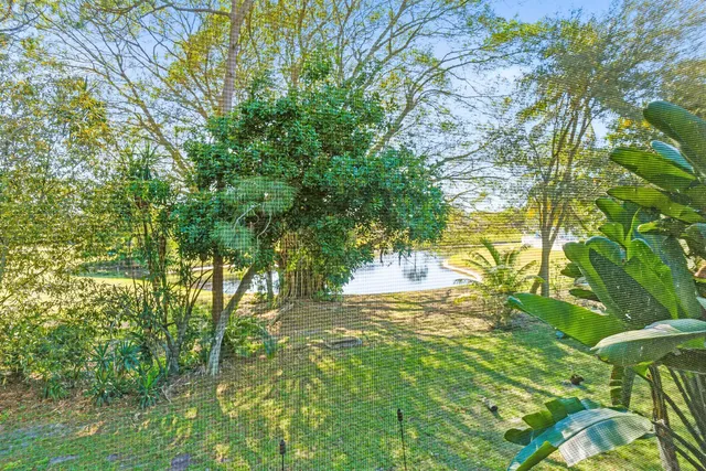 a view of a tennis ground with large trees