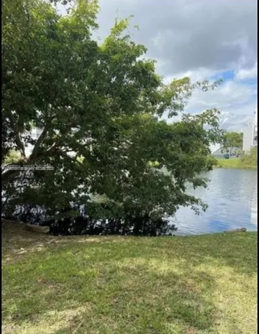 a close up of a plant in a garden