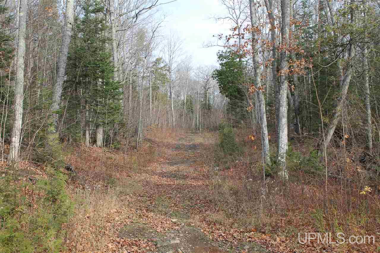 Tbd Tbd Off Mandan Loop Road Mohawk, MI 49950 - Photo 31 of 42