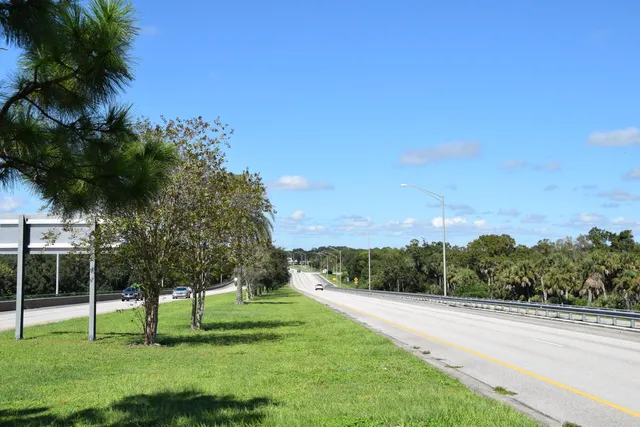 a view of a park with large trees
