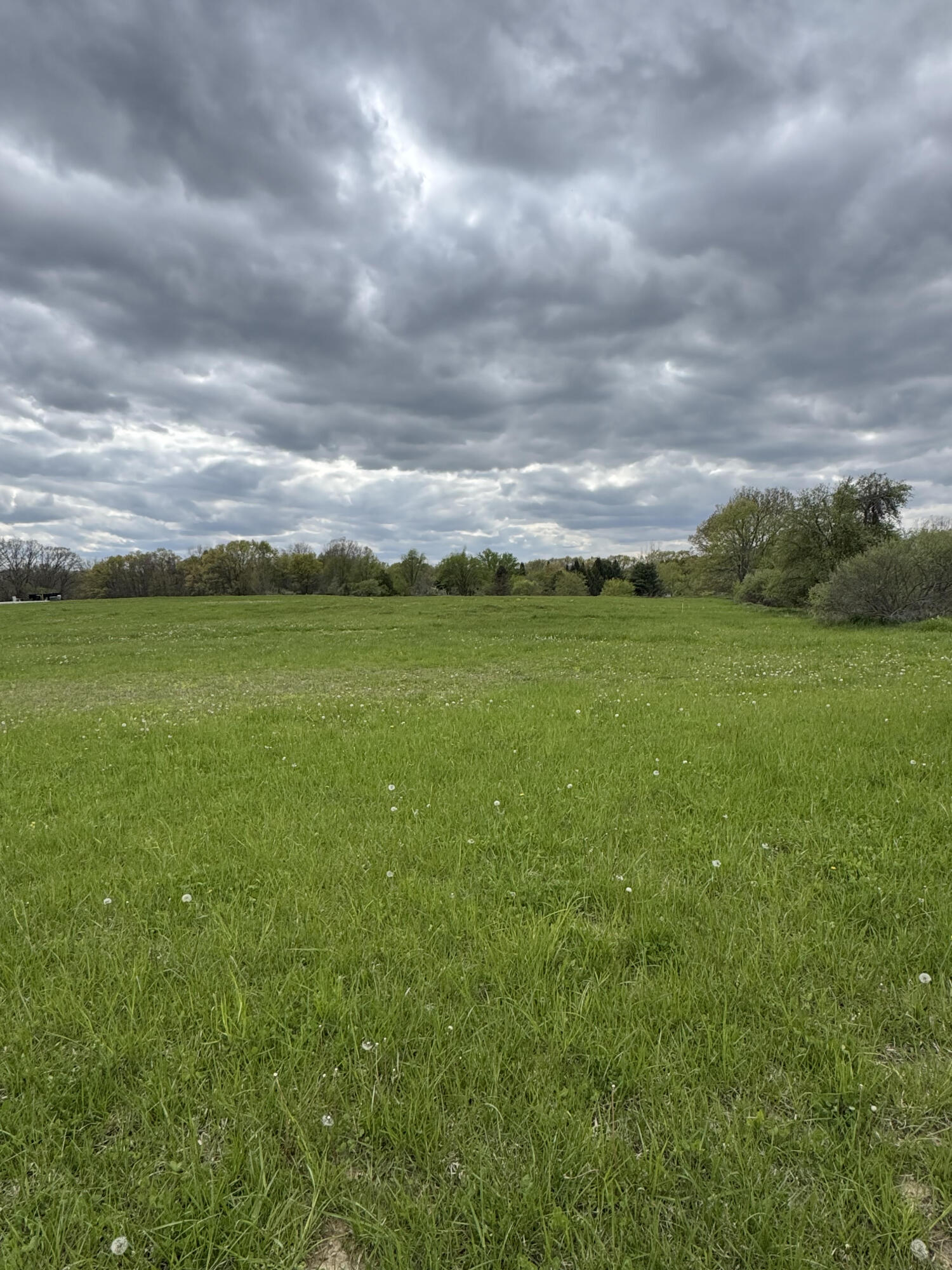 4 Misty Meadow Road Howell, MI 48843 - Photo 1 of 6 lot