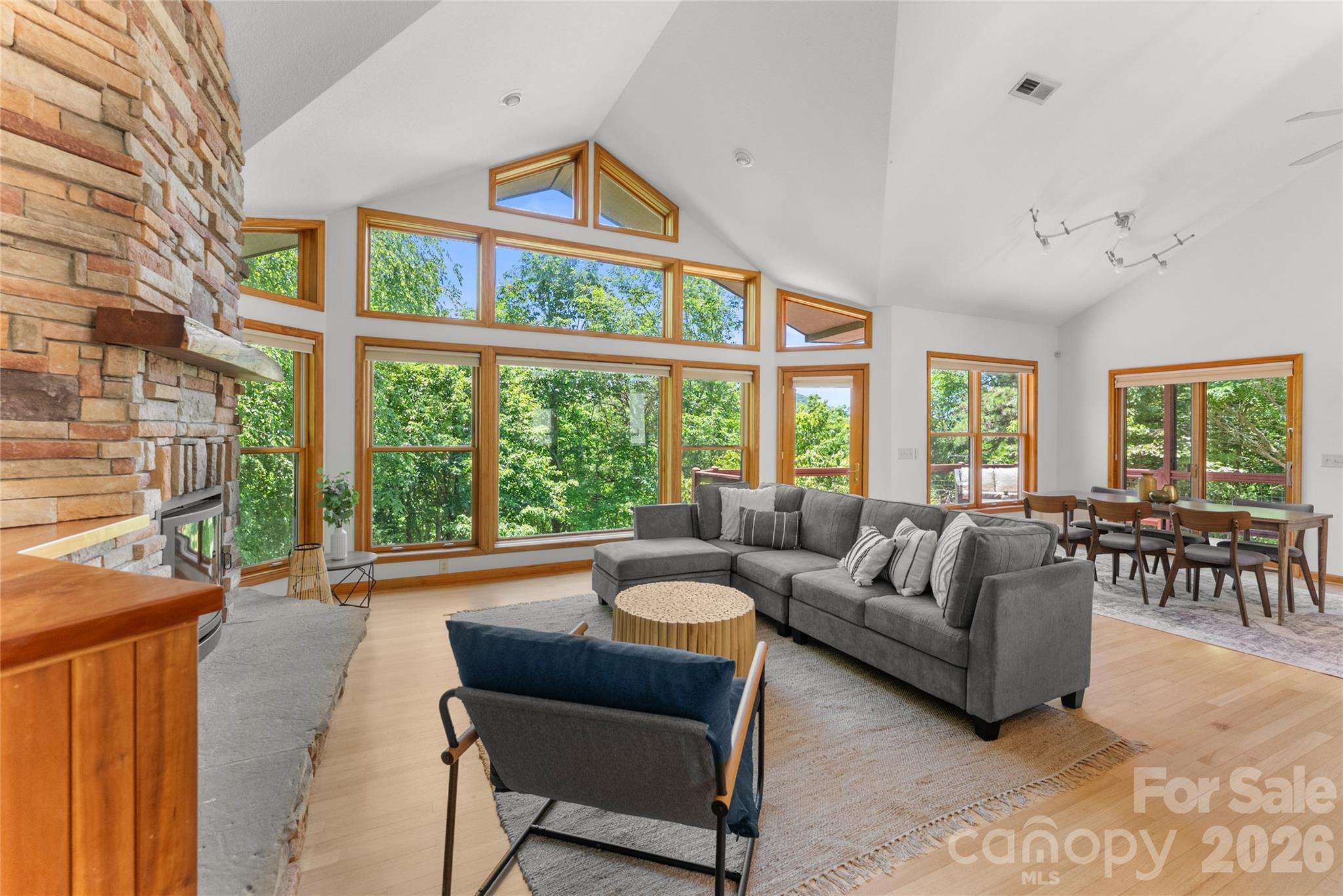 350 Winding Ridge Road Black Mountain, NC 28711 - Photo 6 of 48