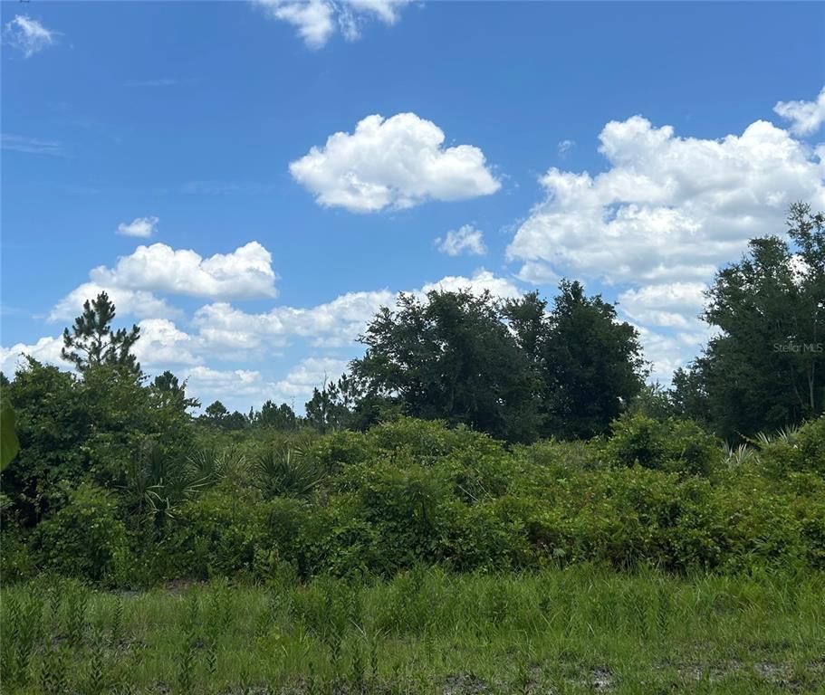 1671 Ford Road Mims, FL 32754 - Photo 6 of 24