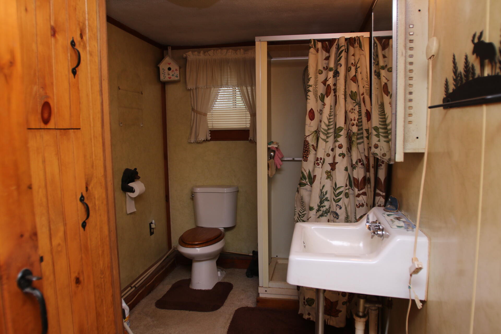 44 Davidson Road Abbot, ME 04406 - Photo 28 of 52 IMG_6048