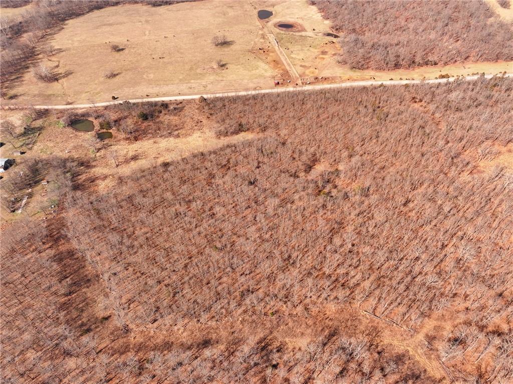 21775 South 725 Road Stockton, MO 65785 - Photo 12 of 37