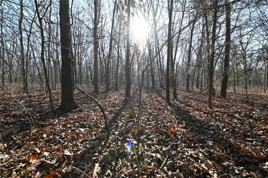 21775 South 725 Road Stockton, MO 65785 - Photo 15 of 37