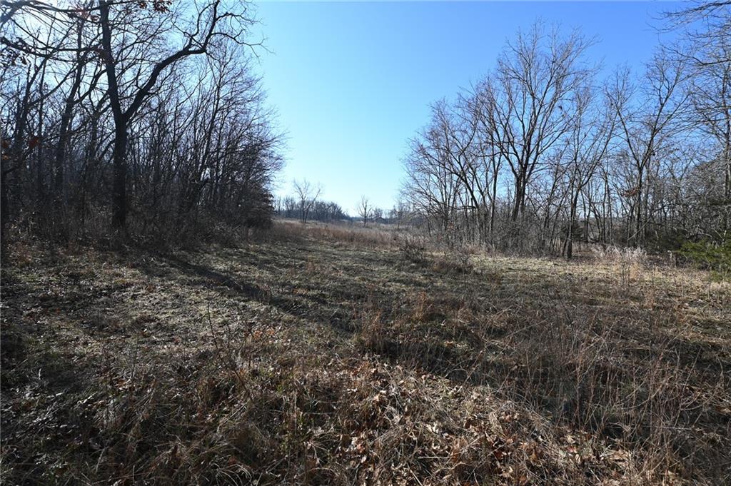 21775 South 725 Road Stockton, MO 65785 - Photo 16 of 37