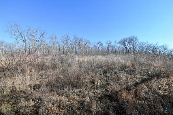 $1,185,000 | 21775 South 725 Road, Stockton, MO 65785