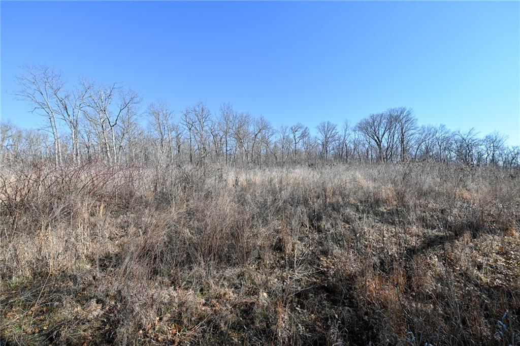 21775 South 725 Road Stockton, MO 65785 - Photo 18 of 37