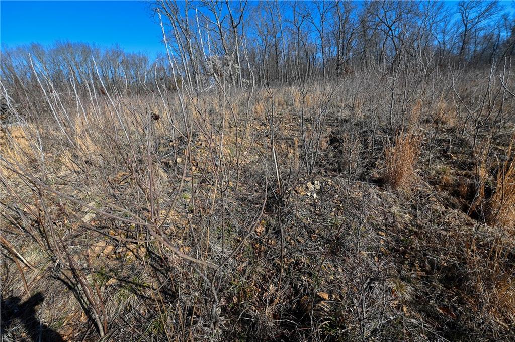 21775 South 725 Road Stockton, MO 65785 - Photo 19 of 37