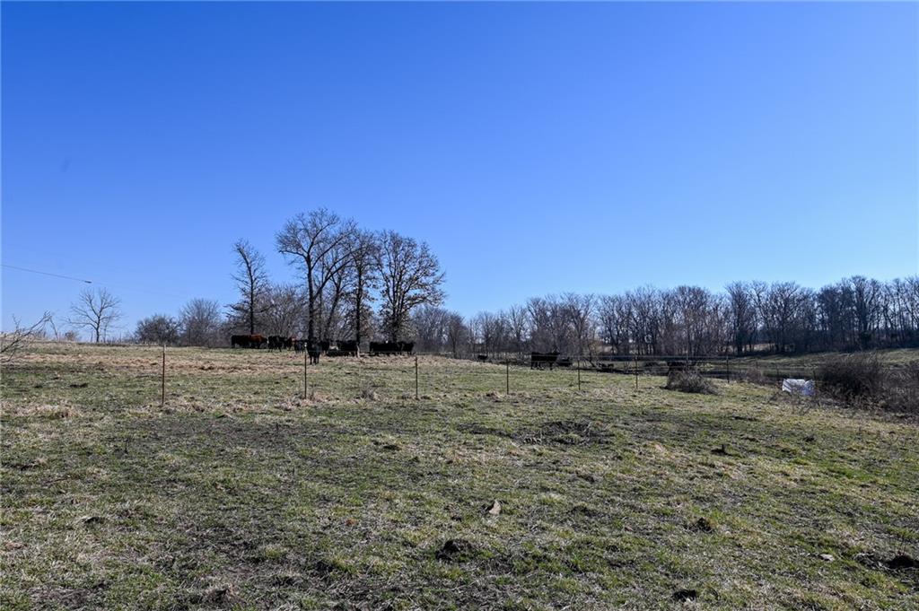 21775 South 725 Road Stockton, MO 65785 - Photo 20 of 37