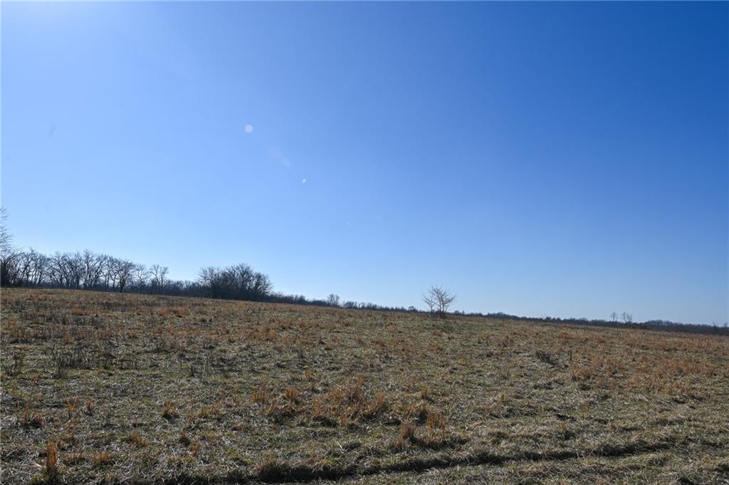 21775 South 725 Road Stockton, MO 65785 - Photo 21 of 37