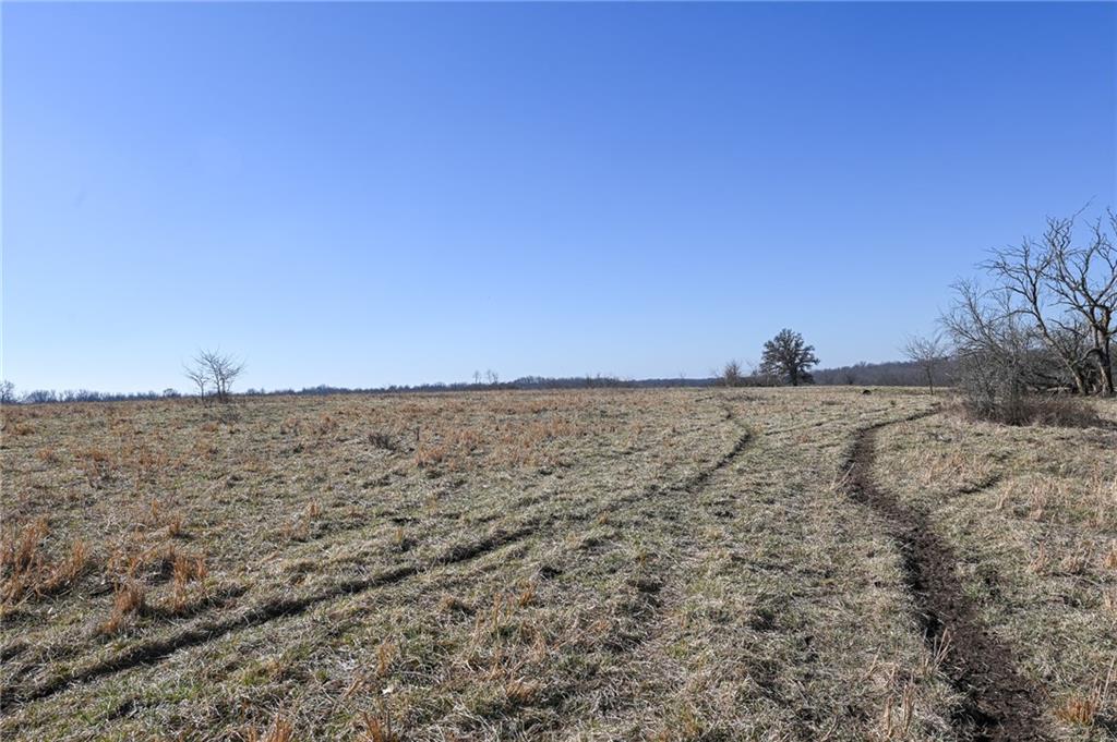 21775 South 725 Road Stockton, MO 65785 - Photo 22 of 37