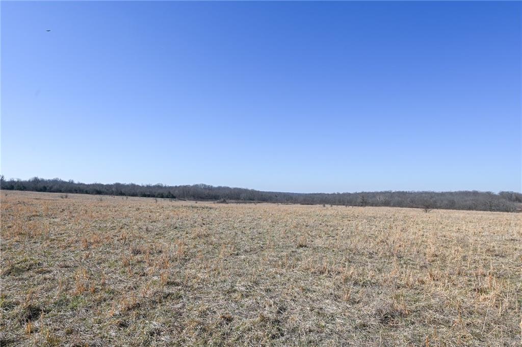 21775 South 725 Road Stockton, MO 65785 - Photo 26 of 37