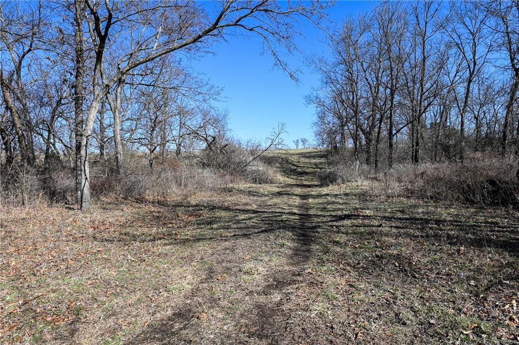 21775 South 725 Road Stockton, MO 65785 - Photo 27 of 37