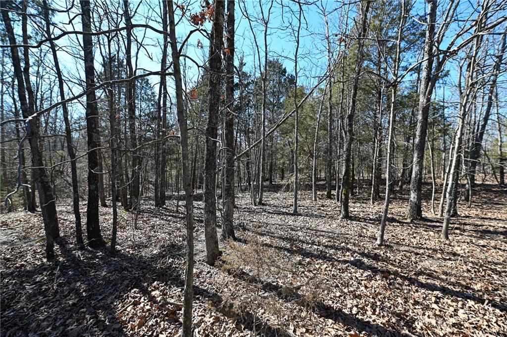 21775 South 725 Road Stockton, MO 65785 - Photo 32 of 37