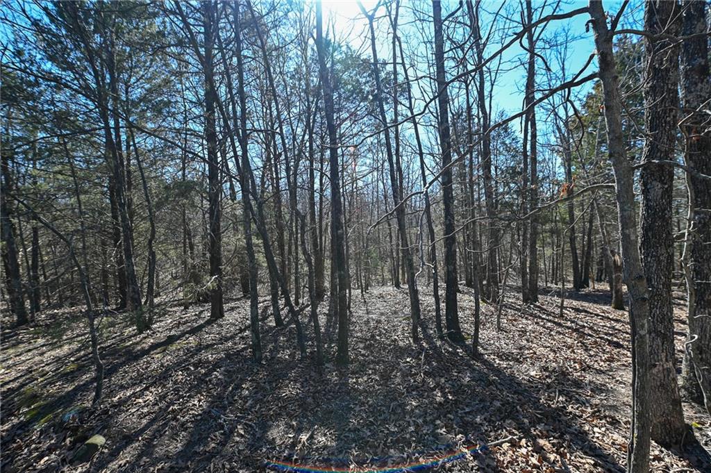 21775 South 725 Road Stockton, MO 65785 - Photo 33 of 37