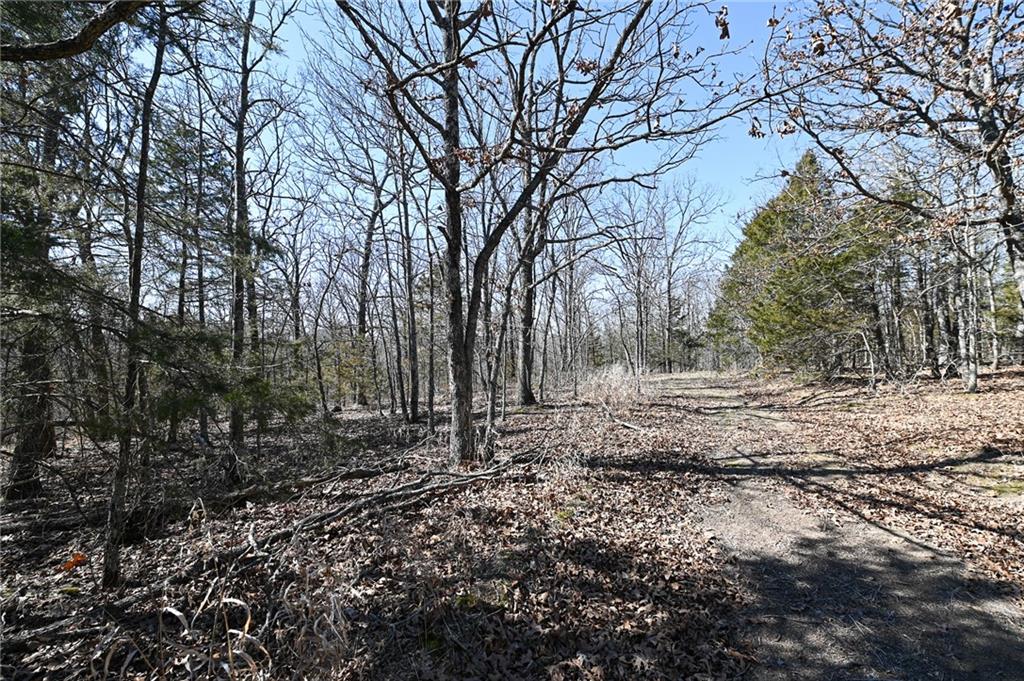 21775 South 725 Road Stockton, MO 65785 - Photo 34 of 37