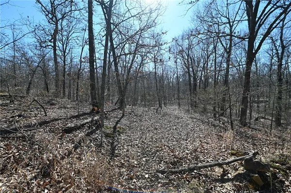 $1,185,000 | 21775 South 725 Road, Stockton, MO 65785