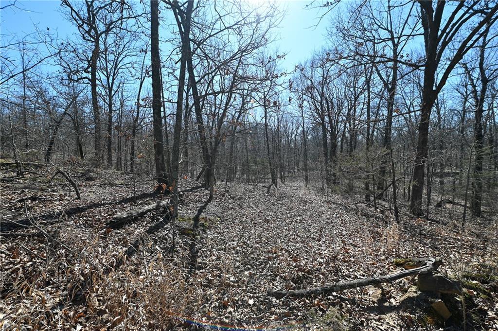 21775 South 725 Road Stockton, MO 65785 - Photo 35 of 37