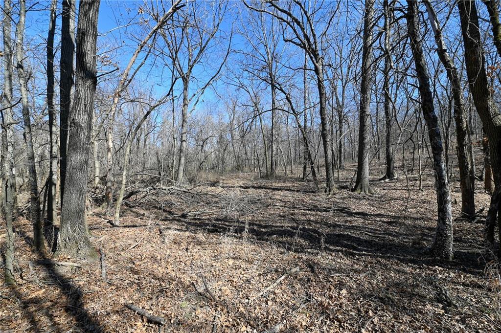 21775 South 725 Road Stockton, MO 65785 - Photo 36 of 37