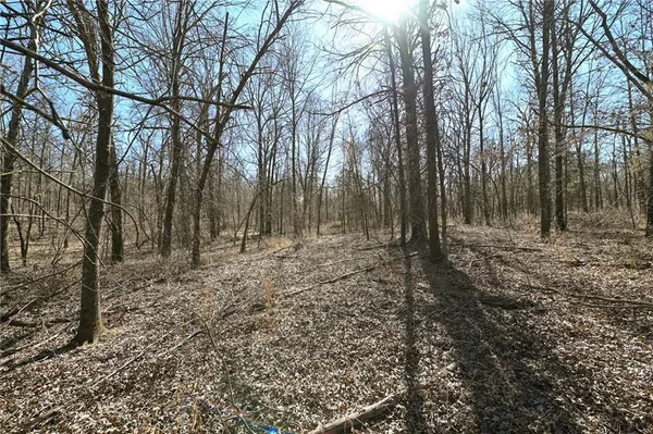 $1,185,000 | 21775 South 725 Road, Stockton, MO 65785