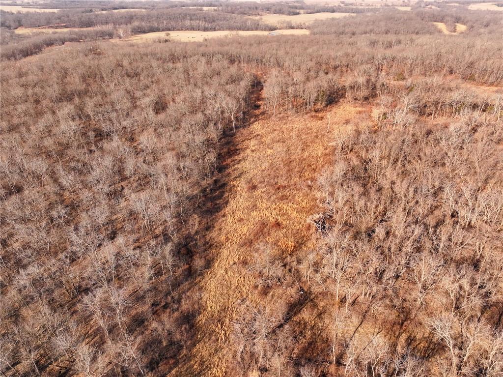 21775 South 725 Road Stockton, MO 65785 - Photo 5 of 37