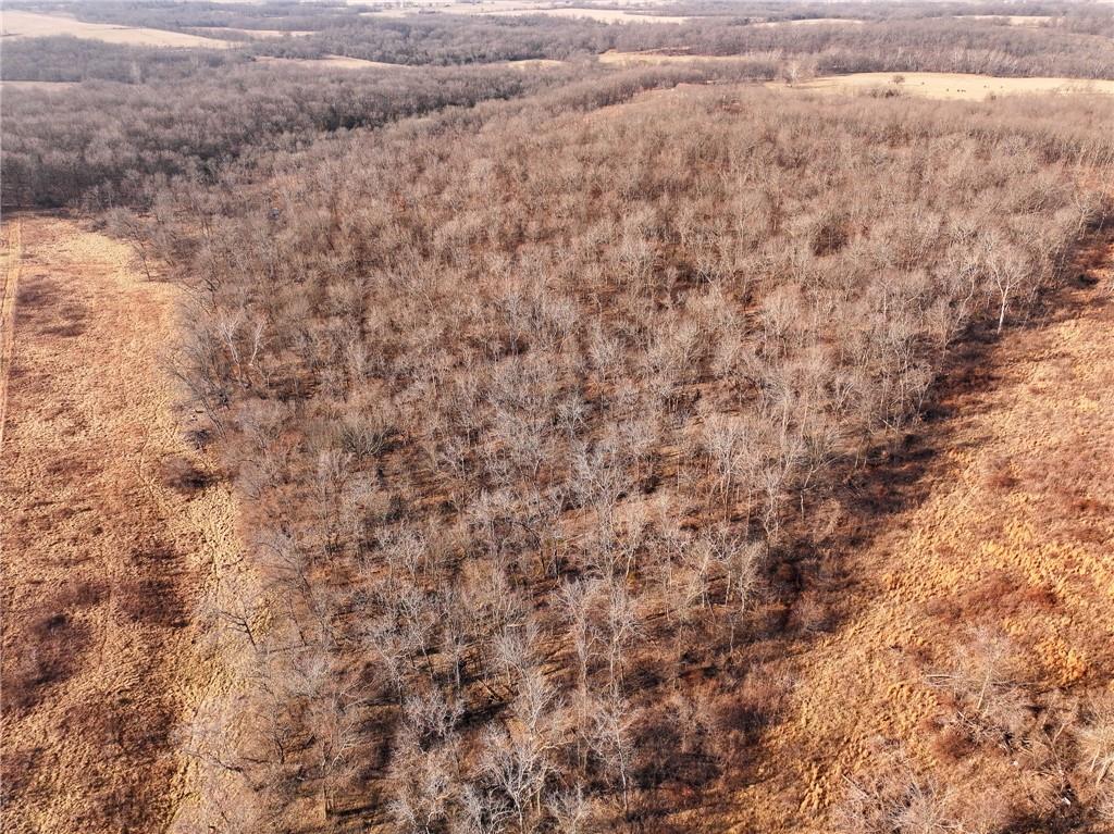 21775 South 725 Road Stockton, MO 65785 - Photo 6 of 37