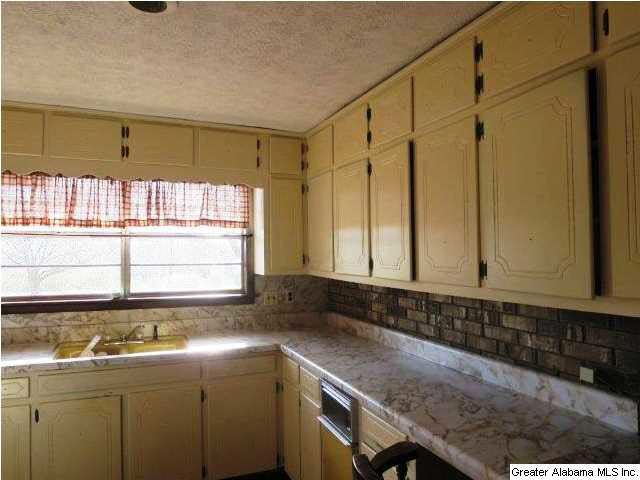 2293 Mt Moriah Road Delta, AL 36258 - Photo 4 of 15