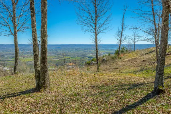 $350,000 | 0 River Bluffs Drive, Unit RB61, Jasper, TN 37347
