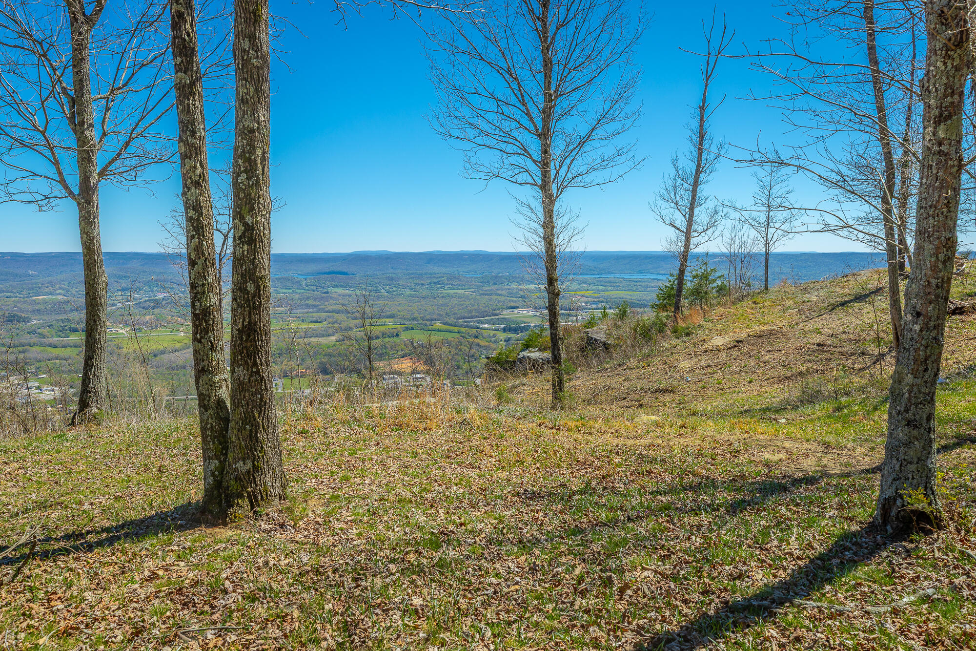 0 River Bluffs Drive, Unit RB61 Jasper, TN 37347 - Photo 21 of 112 0 River Bluffs Drive - RB61 HD-98