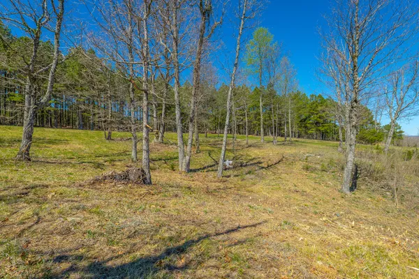 $350,000 | 0 River Bluffs Drive, Unit RB61, Jasper, TN 37347