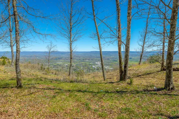 $350,000 | 0 River Bluffs Drive, Unit RB61, Jasper, TN 37347