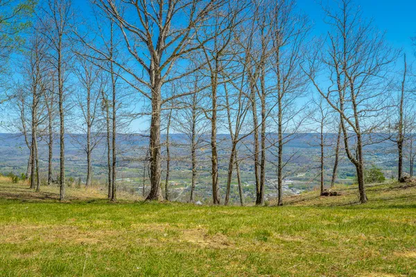 $350,000 | 0 River Bluffs Drive, Unit RB61, Jasper, TN 37347