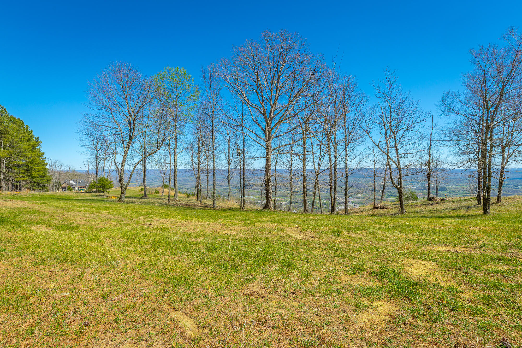 0 River Bluffs Drive, Unit RB61 Jasper, TN 37347 - Photo 31 of 112 0 River Bluffs Drive - RB61 HD-69
